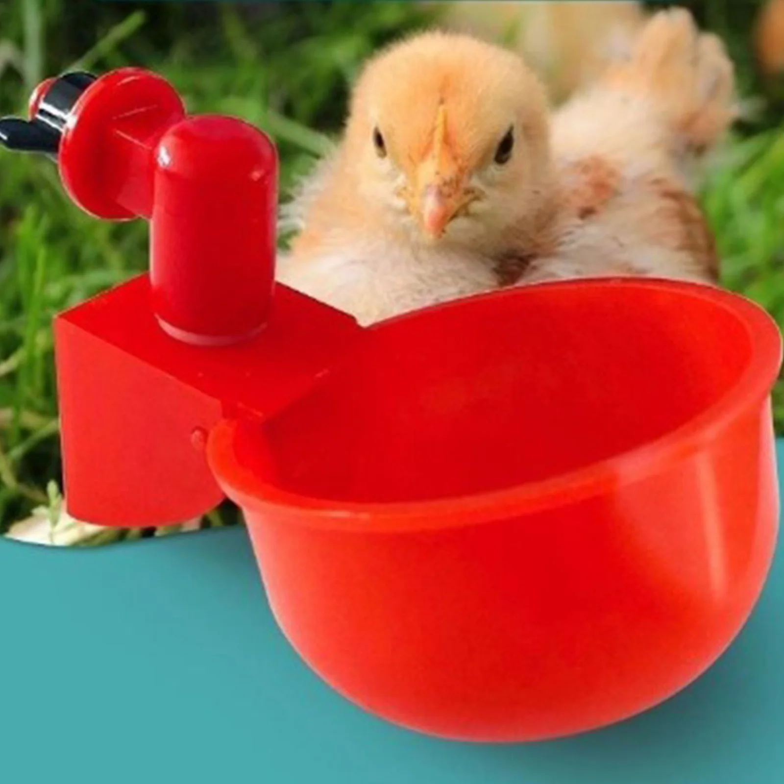 6-36Pcs Chicken Duck Drinking  - Chicken Nipple Drinker recension och pris