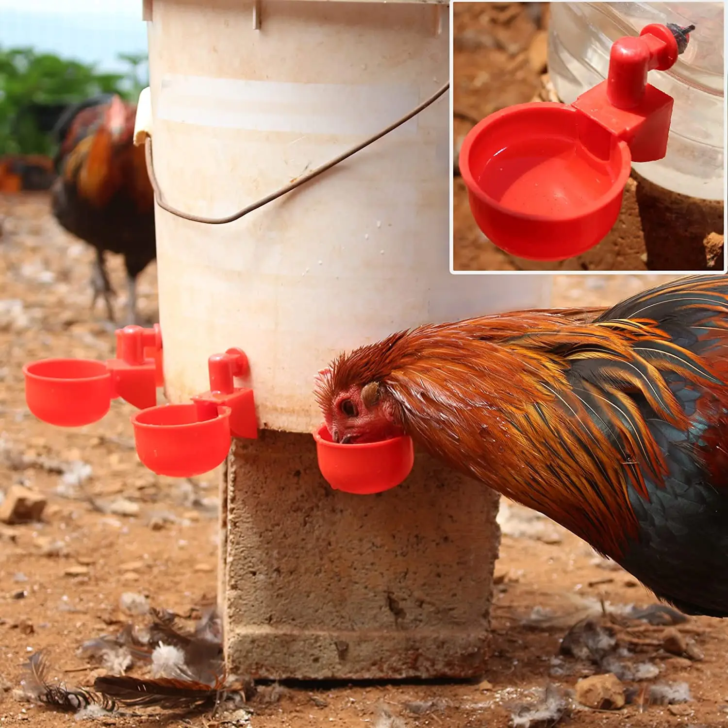 6-36Pcs Chicken Duck Drinking  - Chicken Nipple Drinker recension och pris