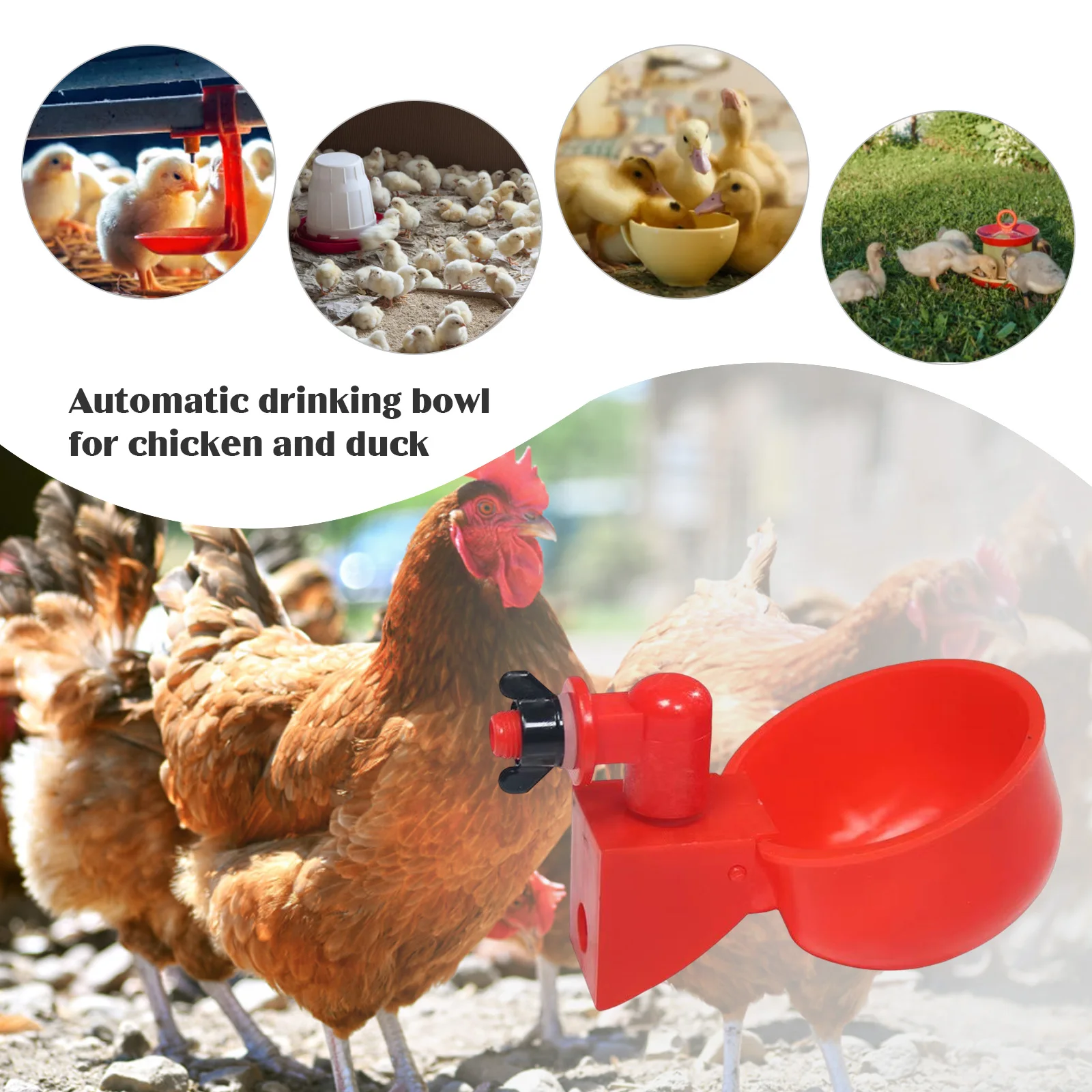 6-36Pcs Chicken Duck Drinking  - Chicken Nipple Drinker recension och pris