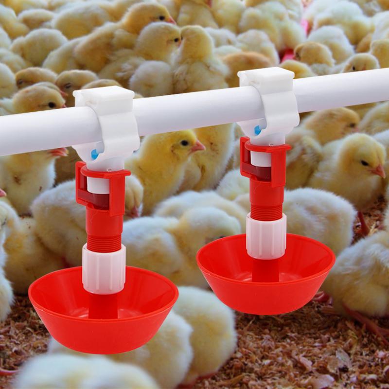 5/10/20 Pcs Automatic Chicken  - Chicken Nipple Drinker recension och pris