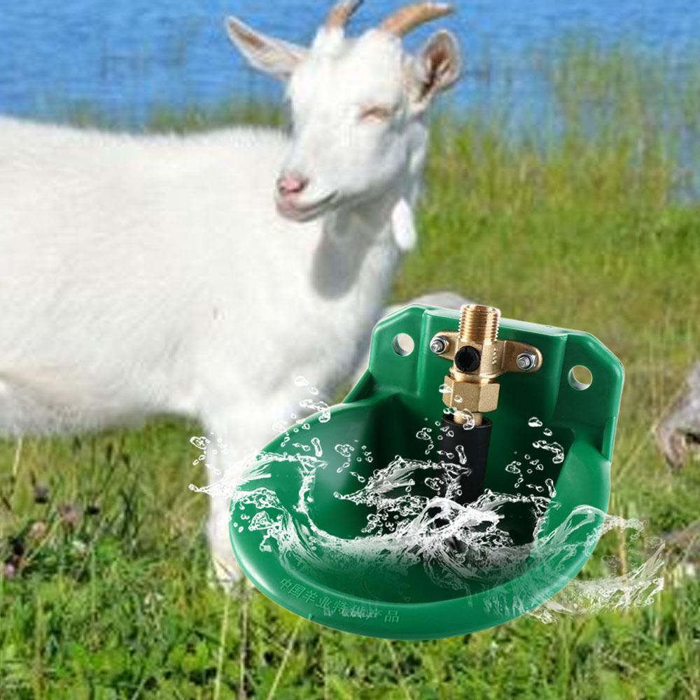 Automatic Water Bowl Liquid Dr - Chicken Nipple Drinker recension och pris