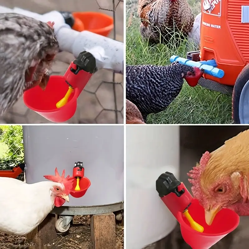 5/10/15Pcs Chicken Quail Hangi - Chicken Nipple Drinker recension och pris