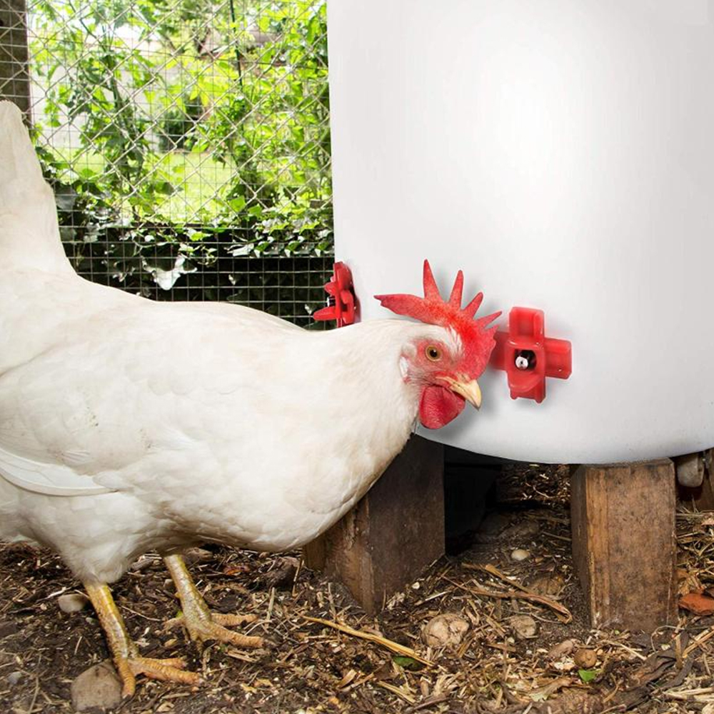 12 pcs Automatic Chicken Water - Chicken Nipple Drinker recension och pris