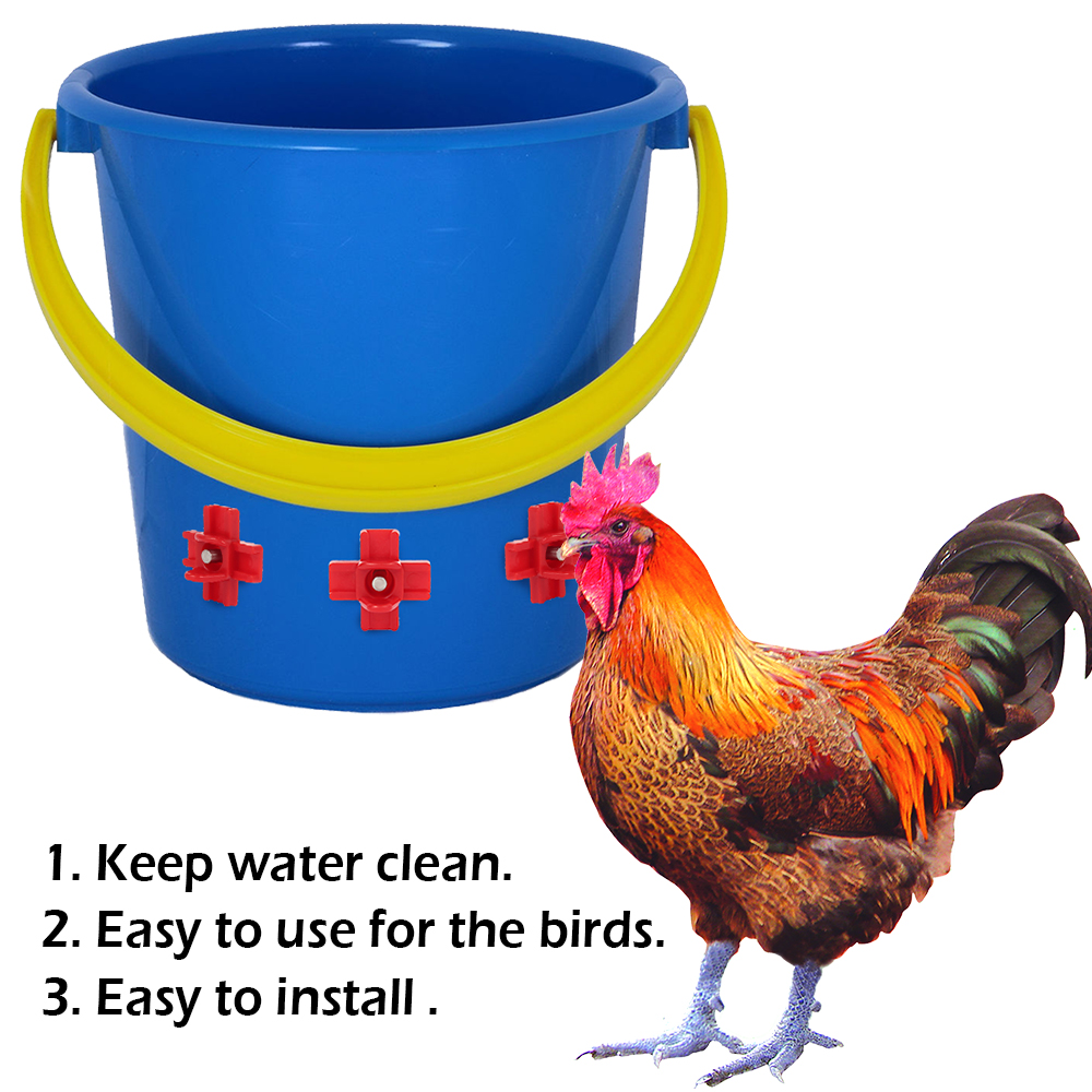 12 pcs Automatic Chicken Water - Chicken Nipple Drinker recension och pris