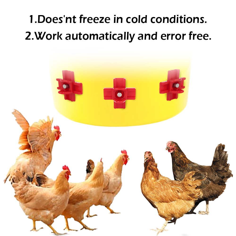 12 pcs Automatic Chicken Water - Chicken Nipple Drinker recension och pris