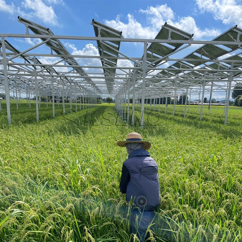 Japan`s New Agriculture Alumin - Agriculture Farming News recension och pris