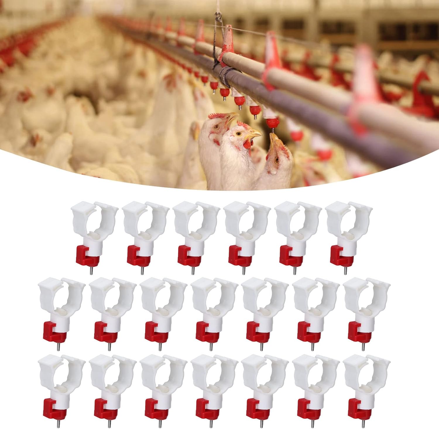 High Quality 20PCS Chicken Nip - Chicken Nipple Drinker recension och pris