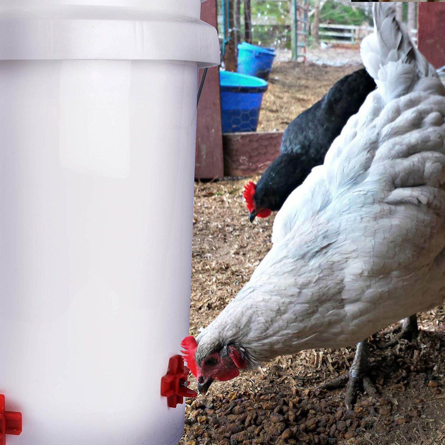 A84X-30Pcs Horizontal Side Mou - Chicken Nipple Drinker recension och pris